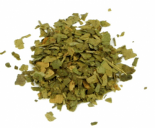 Ginkgo biloba 1000 gram